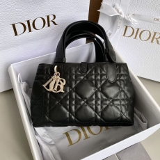 Christian Dior Shopping Bags